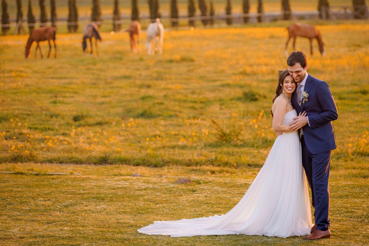 Bride and groom in a field with horses