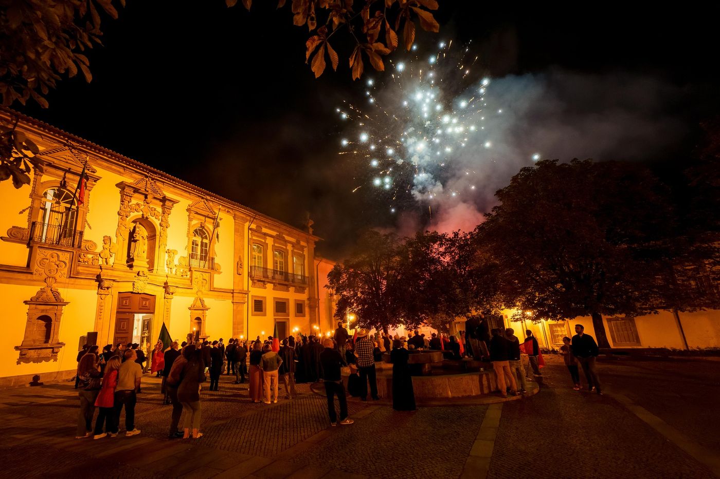 Fireworks over a historic building